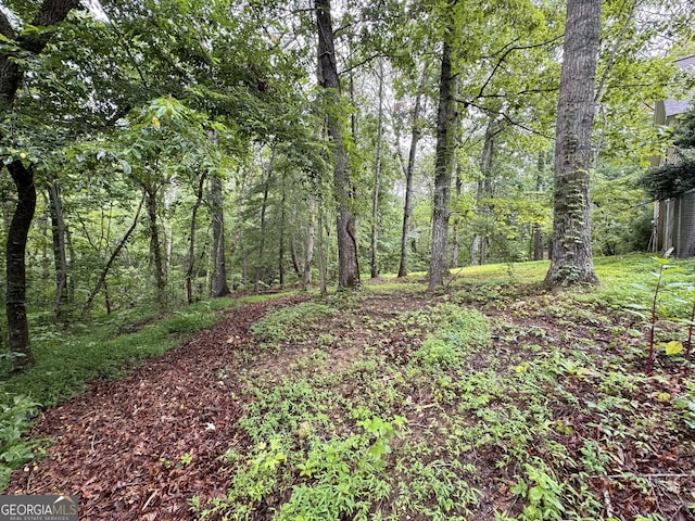 264 E Boling Rd, Jasper, GA 30143 - view of wooded area