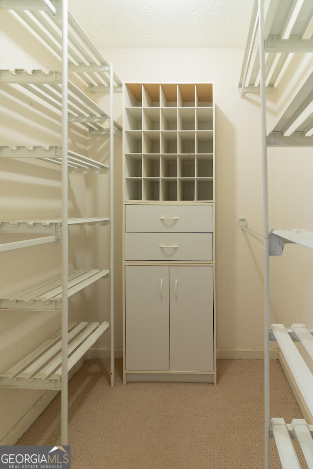 264 E Boling Rd, Jasper, GA 30143 - walk in closet with light carpet