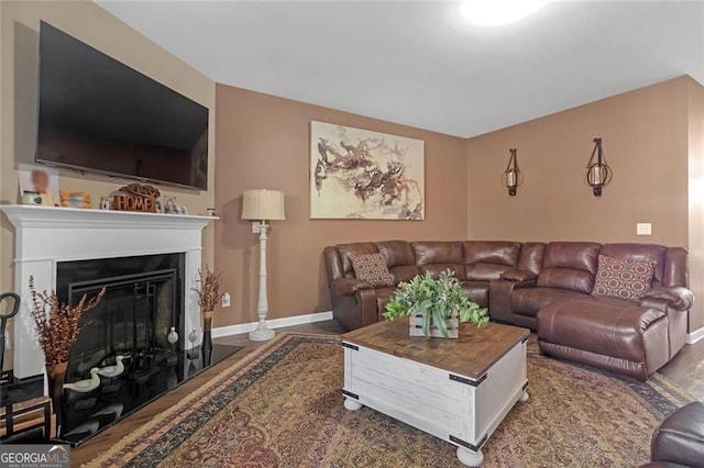 1152 Werre Way, Locust Grove, GA 30248 - living area featuring baseboards, wood finished floors, and a fireplace