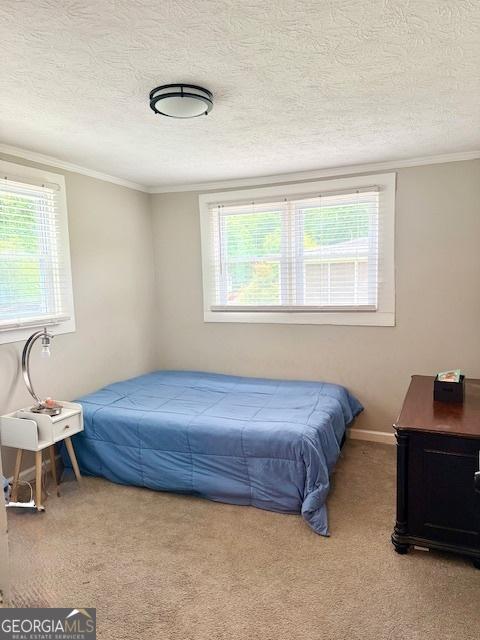 219 Broad St, Carrollton, GA 30117 - carpeted bedroom with ornamental molding, a textured ceiling, and baseboards
