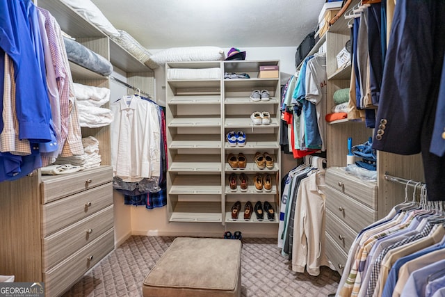 3010 White Oak Ct, Lagrange, GA 30240 - spacious closet featuring carpet