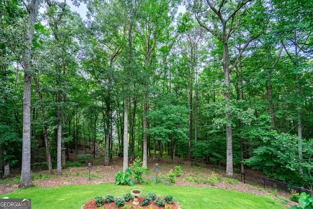 3010 White Oak Ct, Lagrange, GA 30240 - view of green lawn