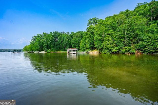 3010 White Oak Ct, Lagrange, GA 30240 - water view featuring a forest
