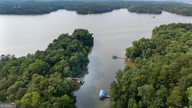 3010 White Oak Ct, Lagrange, GA 30240 - bird's eye view of a forest and a nearby body of water