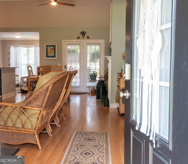 1042 Moss Creek Cir, Statesboro, GA 30461 - foyer featuring a ceiling fan, light wood-type flooring, and plenty of natural light
