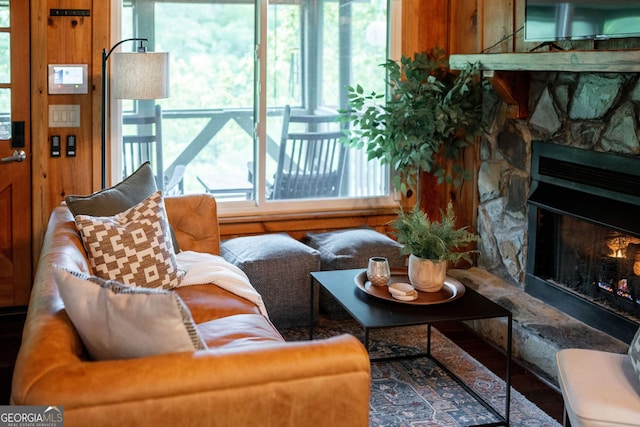 174 Little Rock Creek Ct, Cherry Log, GA 30522 - living area with a stone fireplace