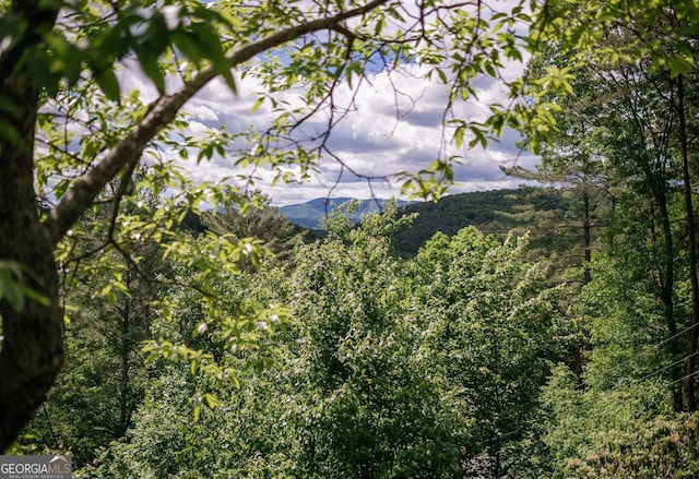 174 Little Rock Creek Ct, Cherry Log, GA 30522 - view of mountain background with a heavily wooded area