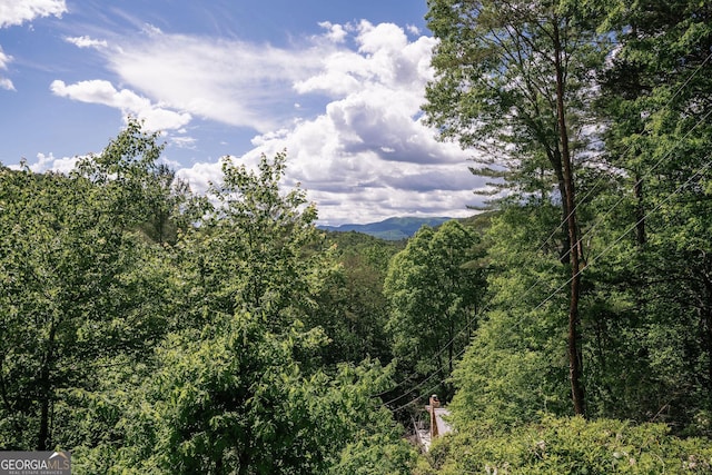 174 Little Rock Creek Ct, Cherry Log, GA 30522 - view of mountain backdrop featuring a forest