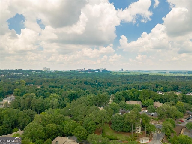 4096 Vinings Mill Trl SE, Smyrna, GA 30080 - aerial view of a forest