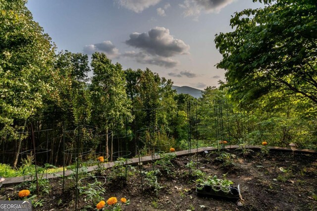 349 Moon Shadow View N O, N, Blairsville, GA 30512