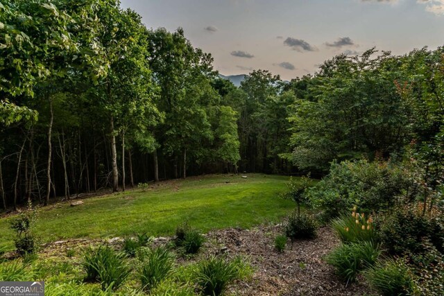 349 Moon Shadow View N O, N, Blairsville, GA 30512