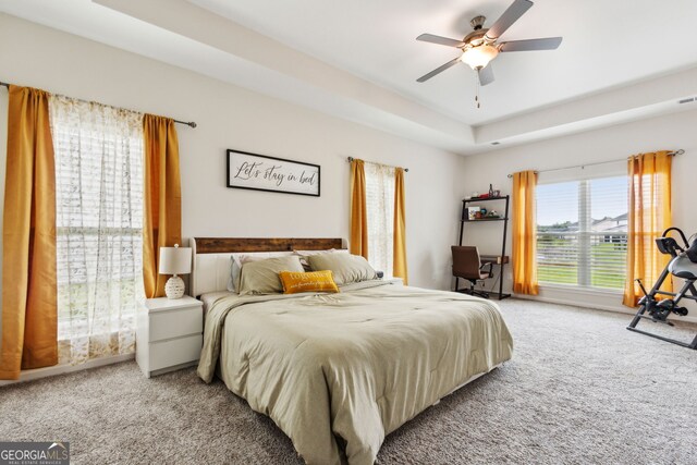 102 Olson Way, Kingsland, GA 31548 - bedroom with carpet floors, a raised ceiling, and ceiling fan
