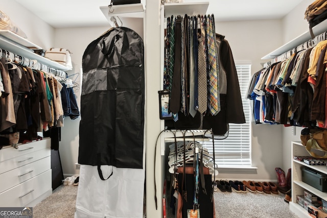 102 Olson Way, Kingsland, GA 31548 - walk in closet featuring carpet