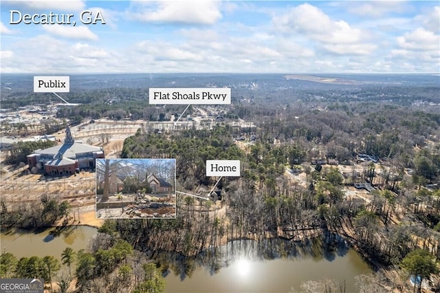 3000 Cathedral Pl, Decatur, GA 30034 - drone / aerial view of a nearby body of water