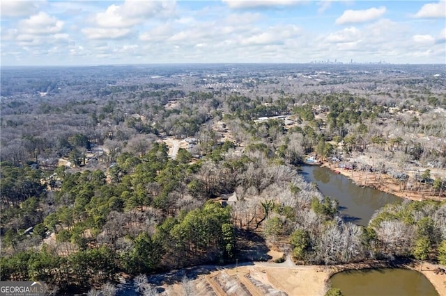 3000 Cathedral Pl, Decatur, GA 30034 - aerial view of property and surrounding area featuring a nearby body of water and a heavily wooded area