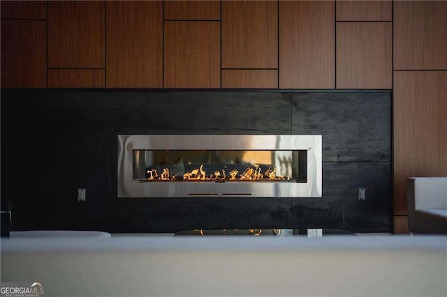 775 Juniper St NE Unit 111, Atlanta, GA 30308 - detailed view of a glass covered fireplace