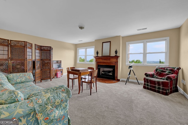 2216 Trammel Rd, Cumming, GA 30041 - living area featuring carpet floors and a fireplace