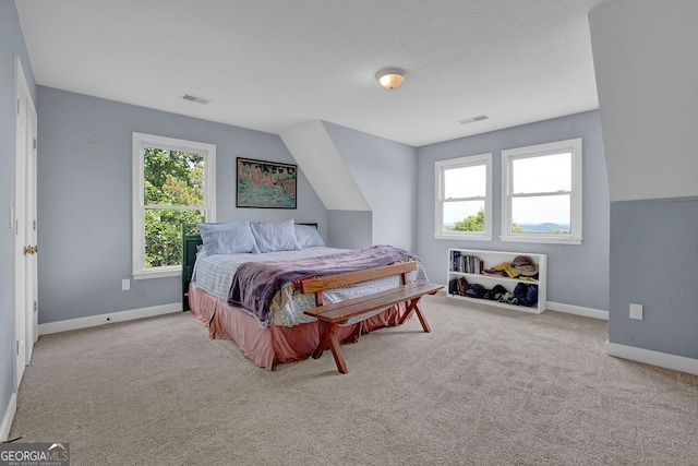 2216 Trammel Rd, Cumming, GA 30041 - carpeted bedroom with multiple windows