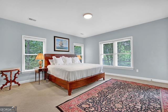2216 Trammel Rd, Cumming, GA 30041 - carpeted bedroom with multiple windows