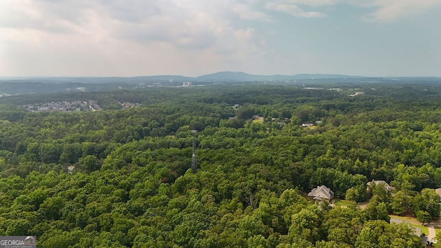 2216 Trammel Rd, Cumming, GA 30041 - bird's eye view of a heavily wooded area