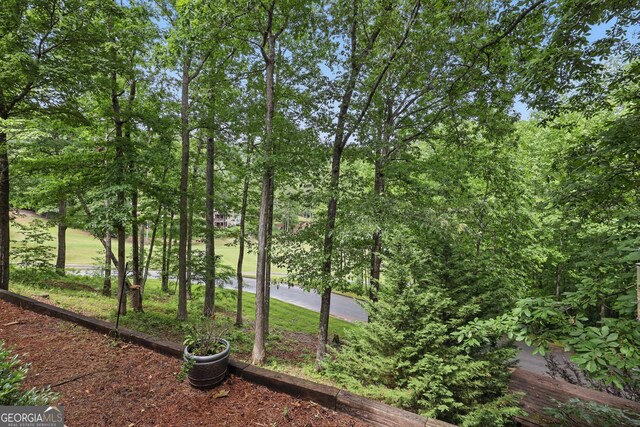 251 Shakespeare Dr Unit 332, Clayton, GA 30525 - view of yard