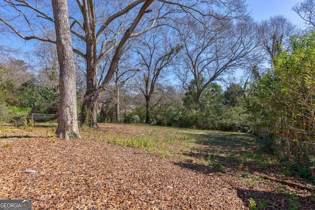 380 Best Dr, Athens, GA 30606 - view of yard with a wooded view