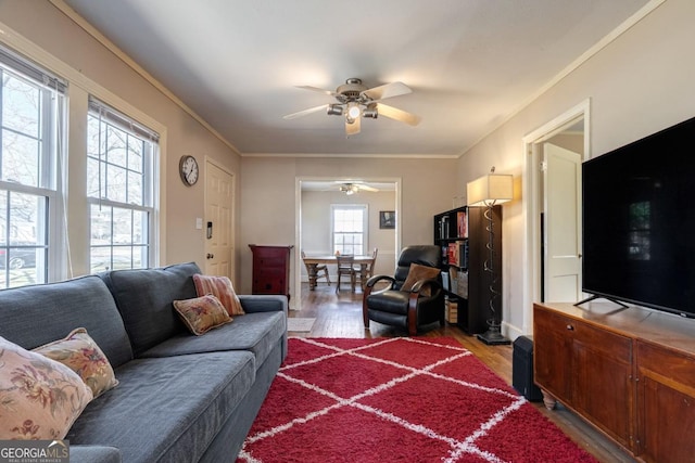 380 Best Dr, Athens, GA 30606 - living area with wood finished floors, a ceiling fan, and ornamental molding