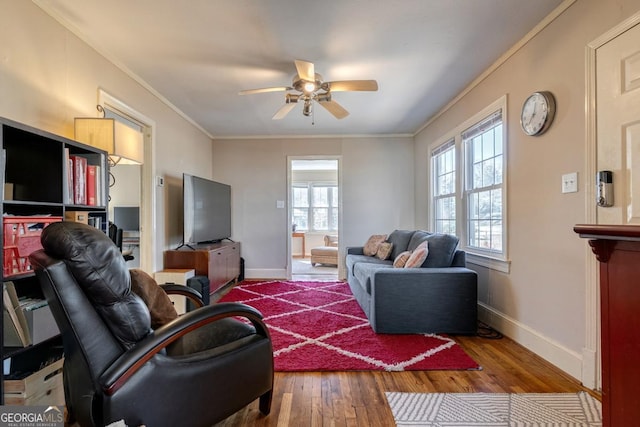 380 Best Dr, Athens, GA 30606 - living room with crown molding, a ceiling fan, and wood finished floors