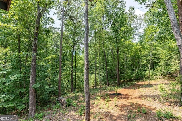235 Red Bud Ln Unit 5, Hiawassee, GA 30546 - view of wooded area