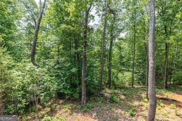 235 Red Bud Ln Unit 5, Hiawassee, GA 30546 - view of wooded area