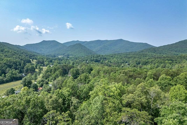 235 Red Bud Ln Unit 5, Hiawassee, GA 30546 - view of mountain background with a heavily wooded area
