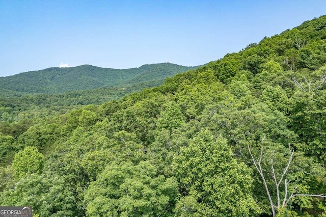 235 Red Bud Ln Unit 5, Hiawassee, GA 30546 - view of mountain backdrop featuring a heavily wooded area