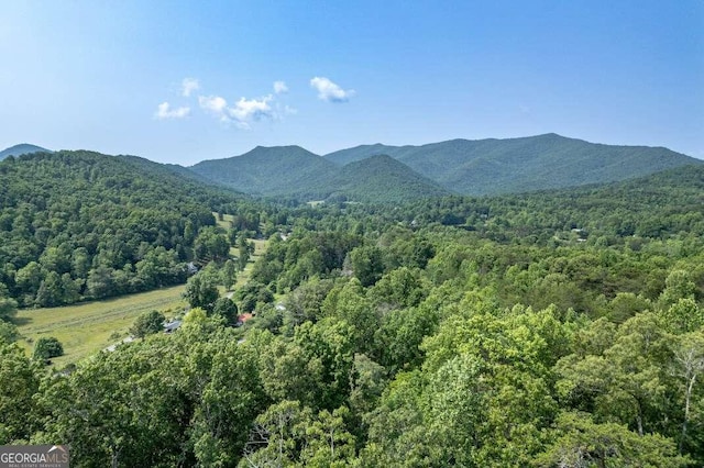 235 Red Bud Ln Unit 5, Hiawassee, GA 30546 - mountain view featuring a heavily wooded area
