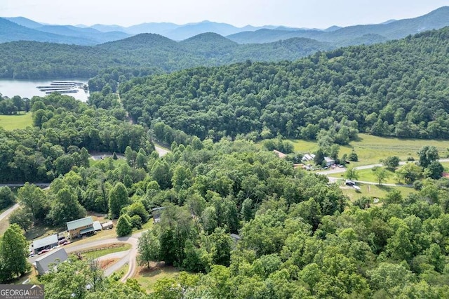 235 Red Bud Ln Unit 5, Hiawassee, GA 30546 - drone / aerial view of a forest and a mountainous background