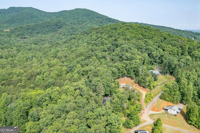 235 Red Bud Ln Unit 5, Hiawassee, GA 30546 - aerial view of property's location featuring a forest