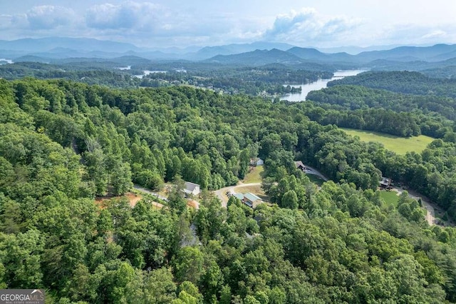 235 Red Bud Ln Unit 5, Hiawassee, GA 30546 - aerial view of property's location with a heavily wooded area and a water and mountain view