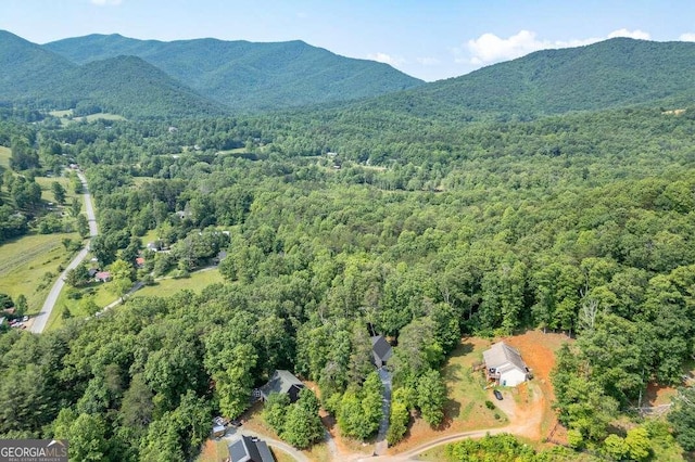 235 Red Bud Ln Unit 5, Hiawassee, GA 30546 - aerial overview of property's location featuring a forest and a mountainous background