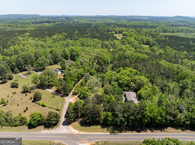 1755 Hunsinger Rd, Shiloh, GA 31826 - aerial view of a forest