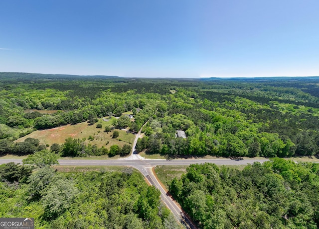 1755 Hunsinger Rd, Shiloh, GA 31826 - aerial view of a forest