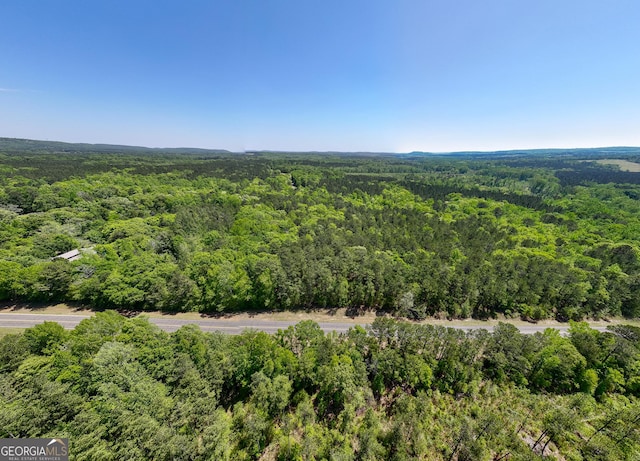 1755 Hunsinger Rd, Shiloh, GA 31826 - aerial view of a forest