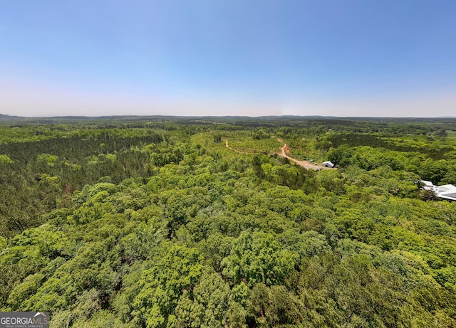 1755 Hunsinger Rd, Shiloh, GA 31826 - bird's eye view of a heavily wooded area