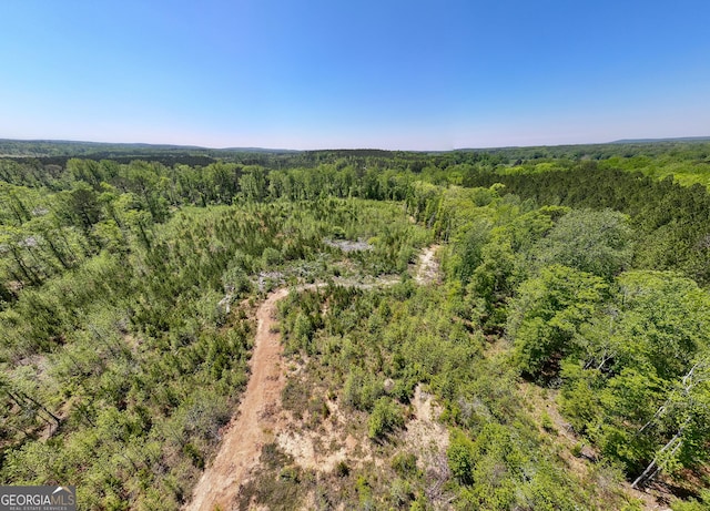 1755 Hunsinger Rd, Shiloh, GA 31826 - drone / aerial view of a forest