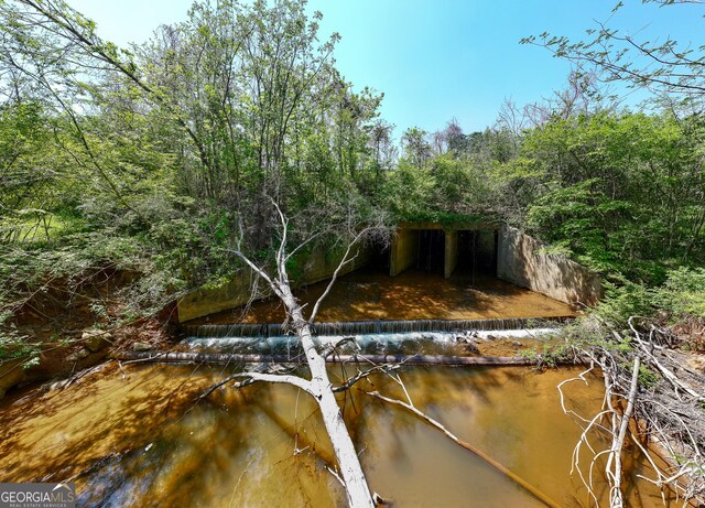 1755 Hunsinger Rd, Shiloh, GA 31826 - water view