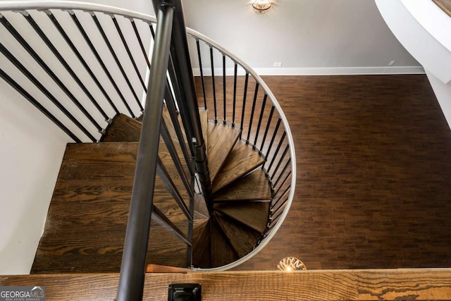 4821 Deer Creek Ct, Flowery Branch, GA 30542 - stairs featuring wood finished floors