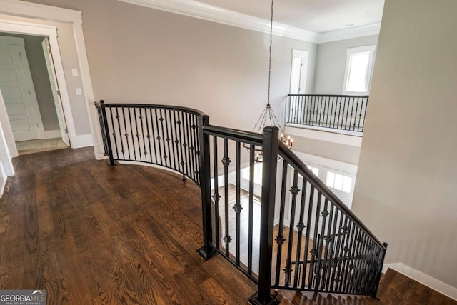 4821 Deer Creek Ct, Flowery Branch, GA 30542 - stairway featuring wood finished floors and ornamental molding