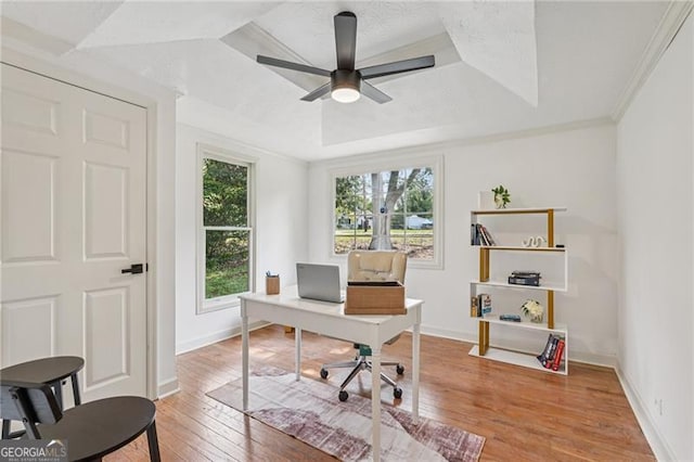 3422 Maplehurst Dr, Decatur, GA 30032 - office area with a tray ceiling, light wood-type flooring, baseboards, and a ceiling fan