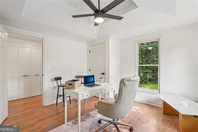 3422 Maplehurst Dr, Decatur, GA 30032 - office space with a ceiling fan, light wood-style floors, and ornamental molding