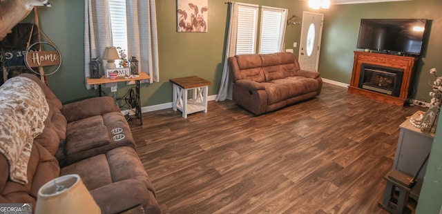 12730 Old Federal Rd, Carnesville, GA 30521 - living room with a glass covered fireplace, wood finished floors, and baseboards