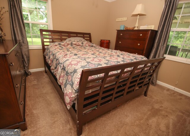 12730 Old Federal Rd, Carnesville, GA 30521 - carpeted bedroom featuring multiple windows and baseboards