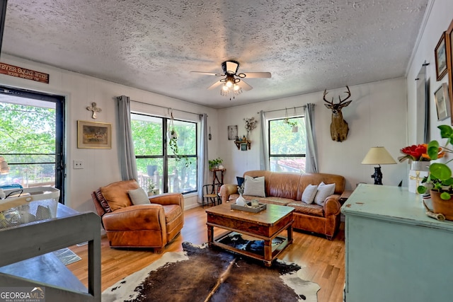 41 Mike Foster Ln, Clayton, GA 30525 - living area with a textured ceiling, healthy amount of natural light, light wood-type flooring, and a ceiling fan